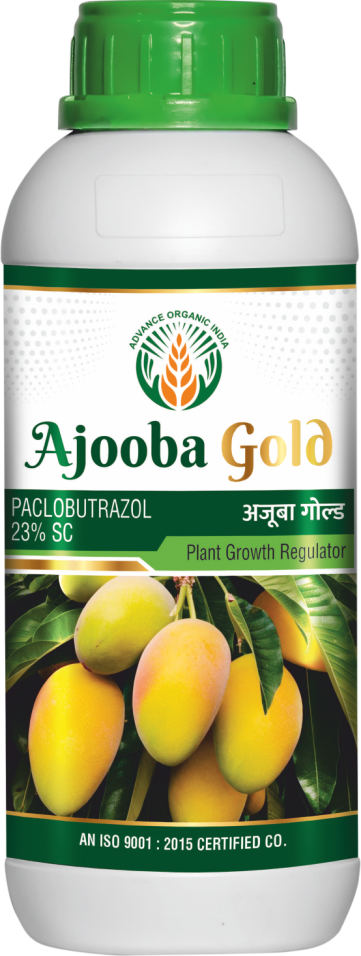 Ajooba Gold